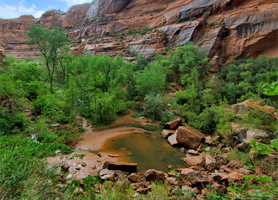 Pool in Moonflower Canyon