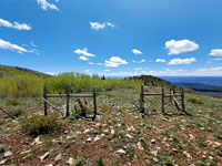 Wooden fence