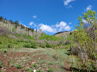 Doe Canyon