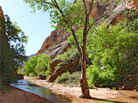 Hackberry Canyon