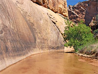 Hackberry Canyon