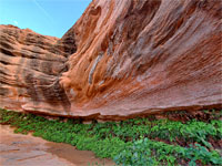 Hanging Garden Trail