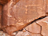 Bighorn sheep and a spiral