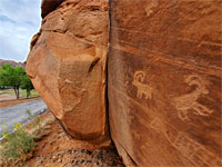 Two bighorn sheep