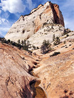 Many Pools Canyon