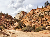 Sandy streambed