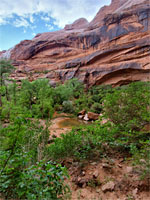 Upper end of Moonflower Canyon