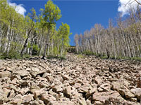 Boulders and aspen