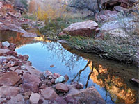 Early morning reflections