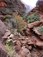 The view downcanyon