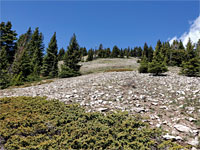 Boulder-covered slope