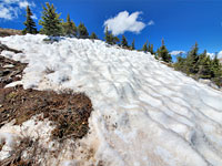 Dappled snowfield