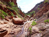 Tom's Canyon Trail, Kanab