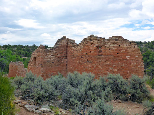 Reddish walls