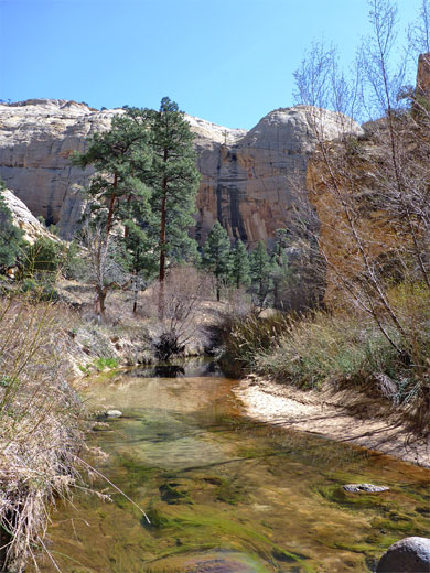 Stream, trees and cliffs
