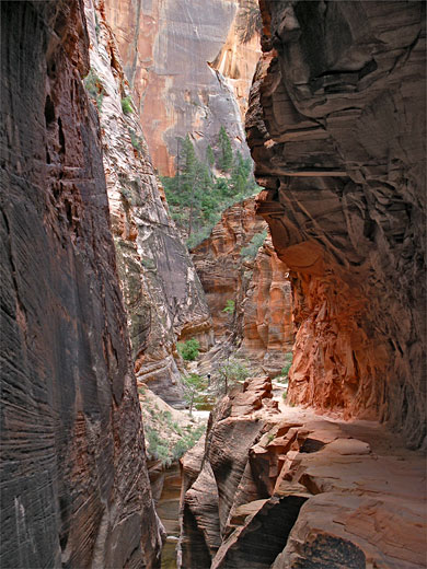 Trail past Echo Canyon