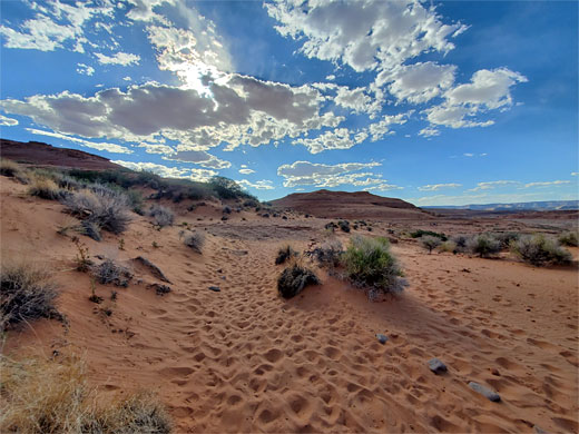 Sandy path