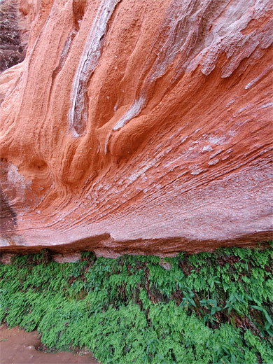 Salt-encrusted sandstone