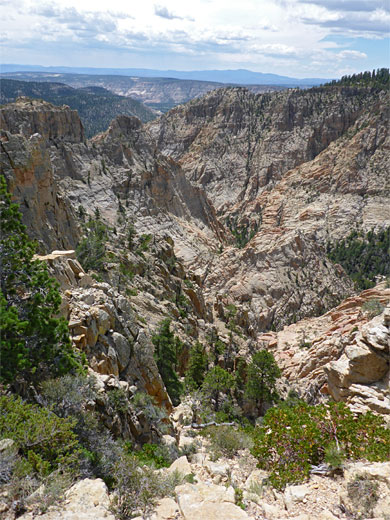 Cliffs of Death Hollow