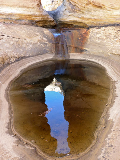 Reflection on the pool