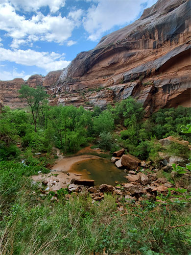 Tree-lined pool, Moonflower Canyon