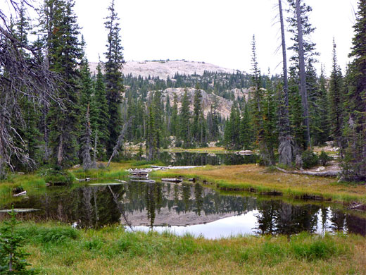 Pond beside Picturesque Lake