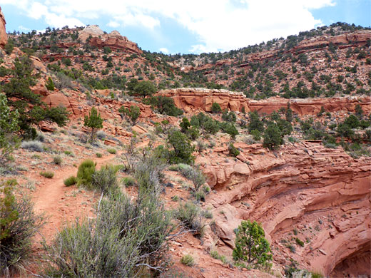 Path up ledges