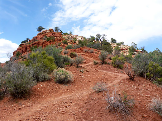 Winding path