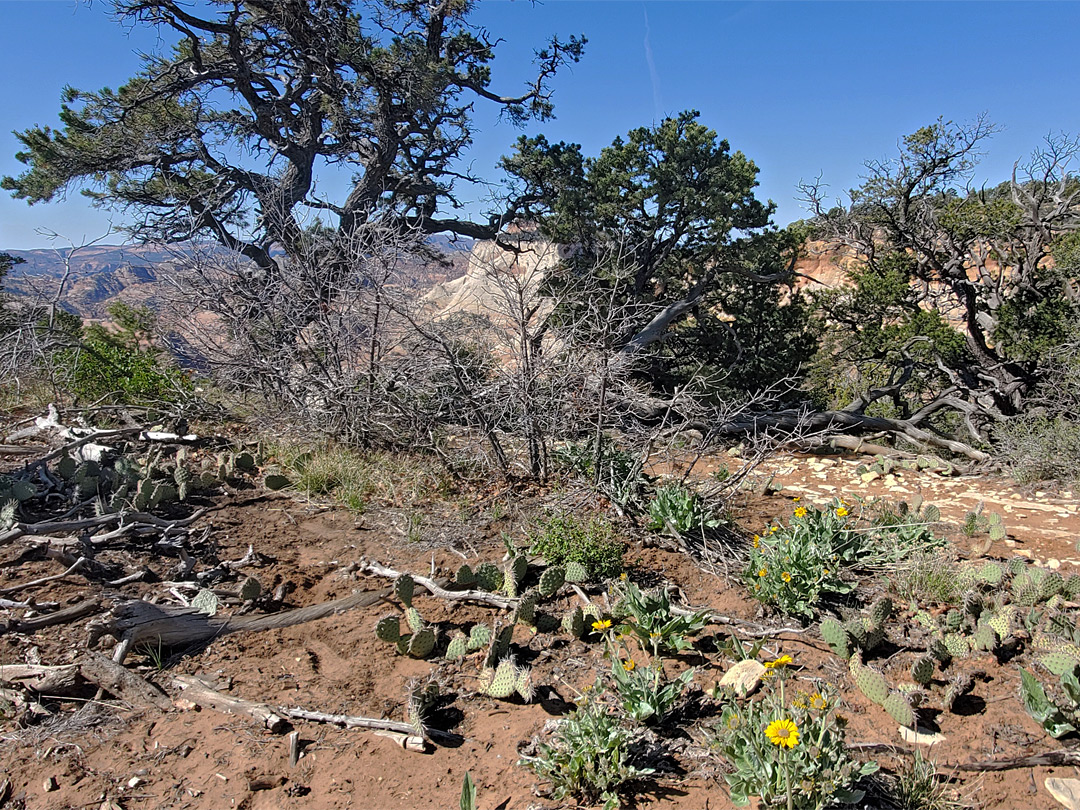 Rim of the plateau