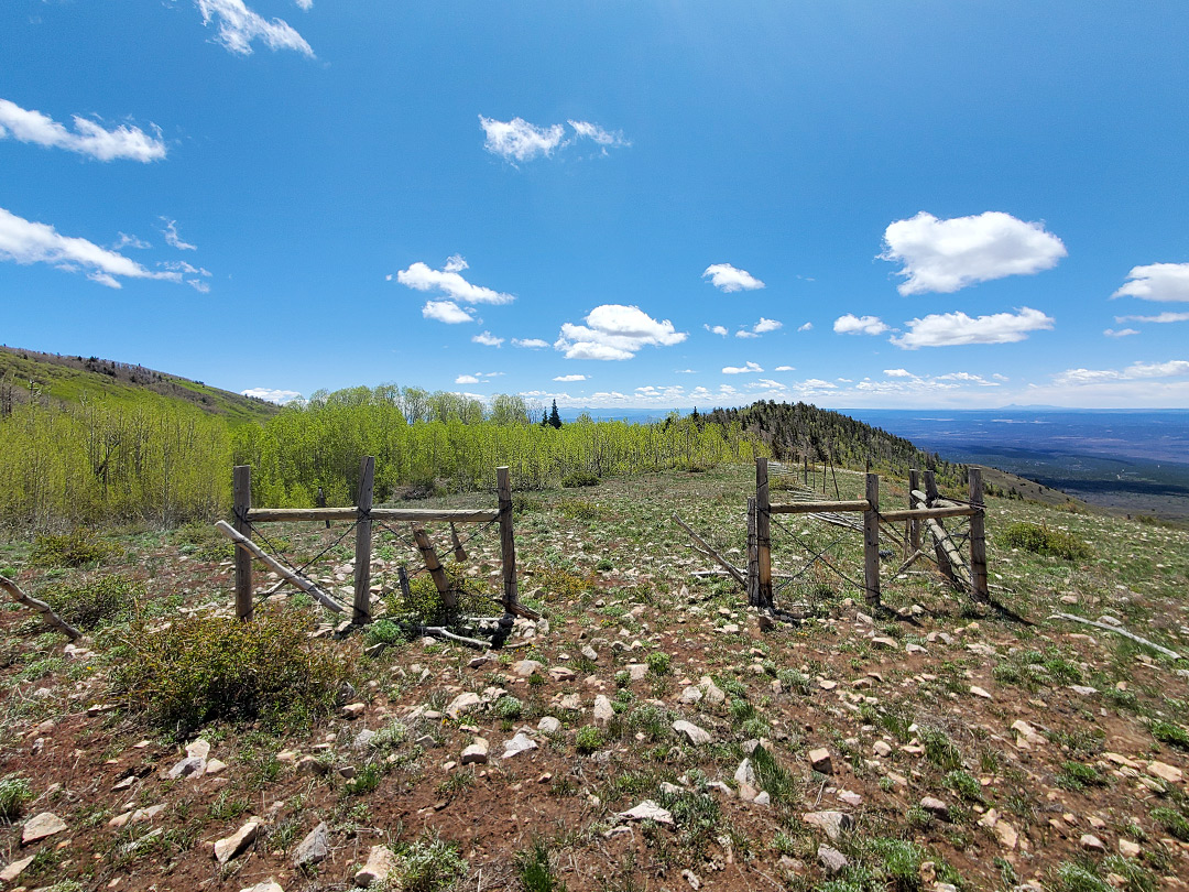 Wooden fence