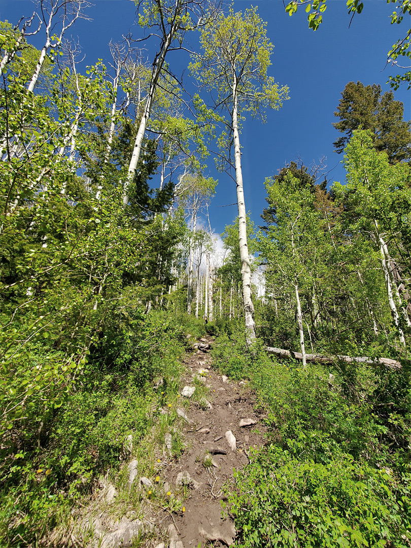 Uphill path