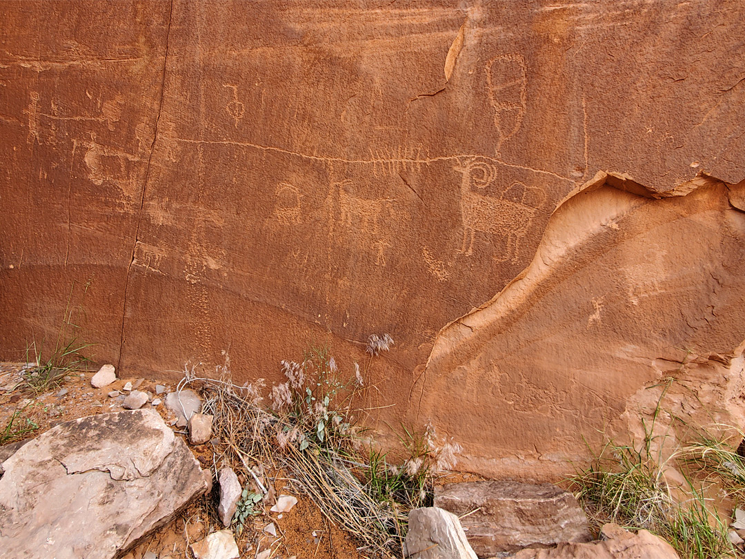 Varied petroglyphs