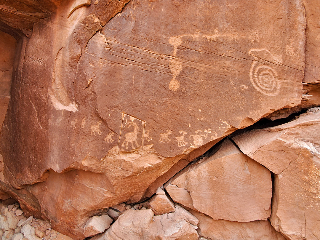 Bighorn sheep and a spiral