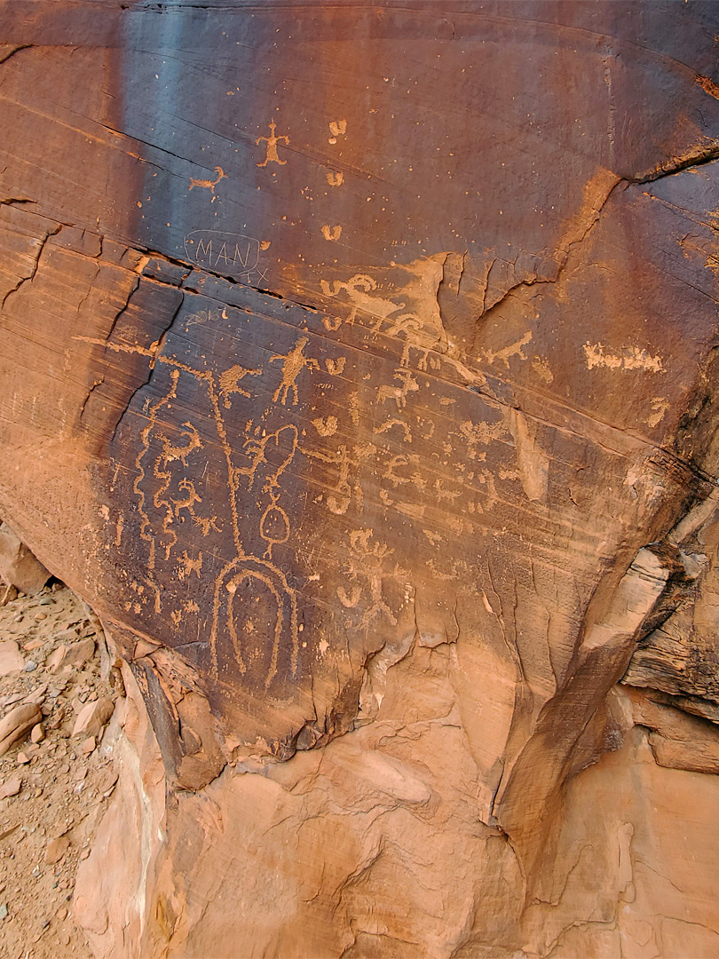 Petroglyph panel