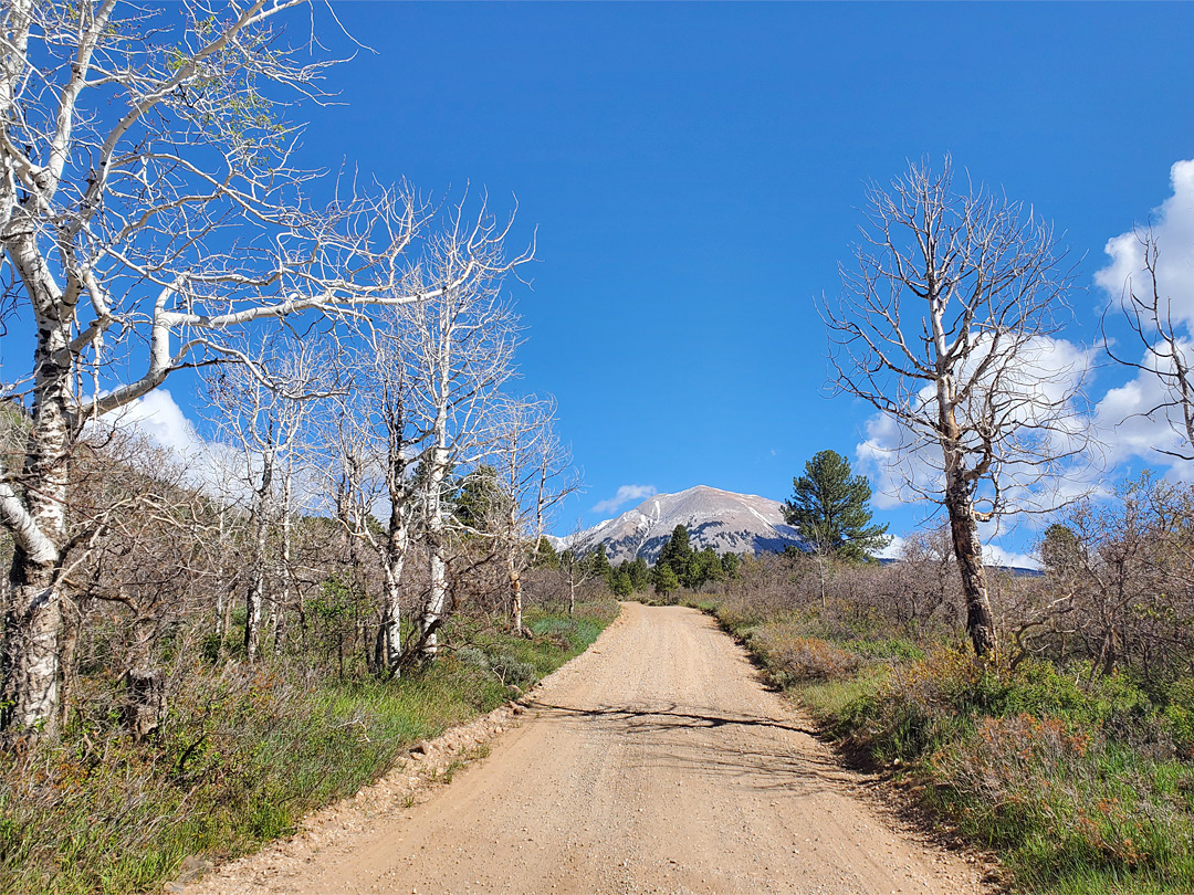 La Sal Pass Road