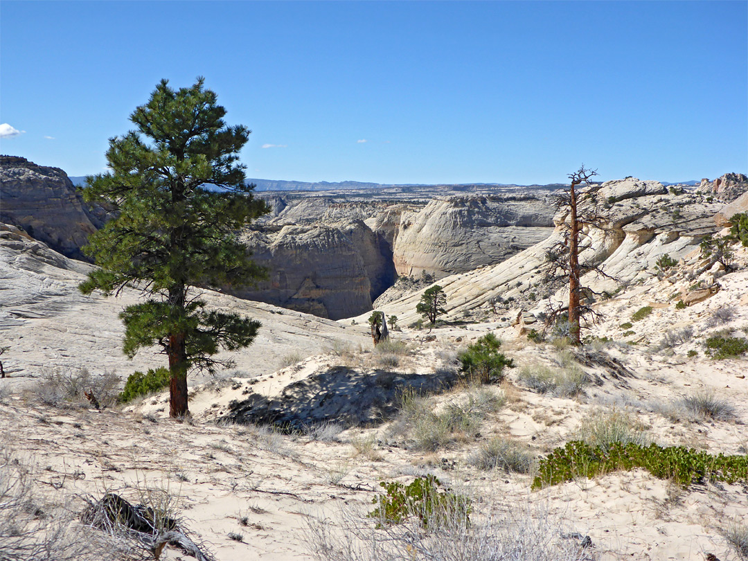 Boulder Mail Trail Grand Staircase Escalante National Monument Utah