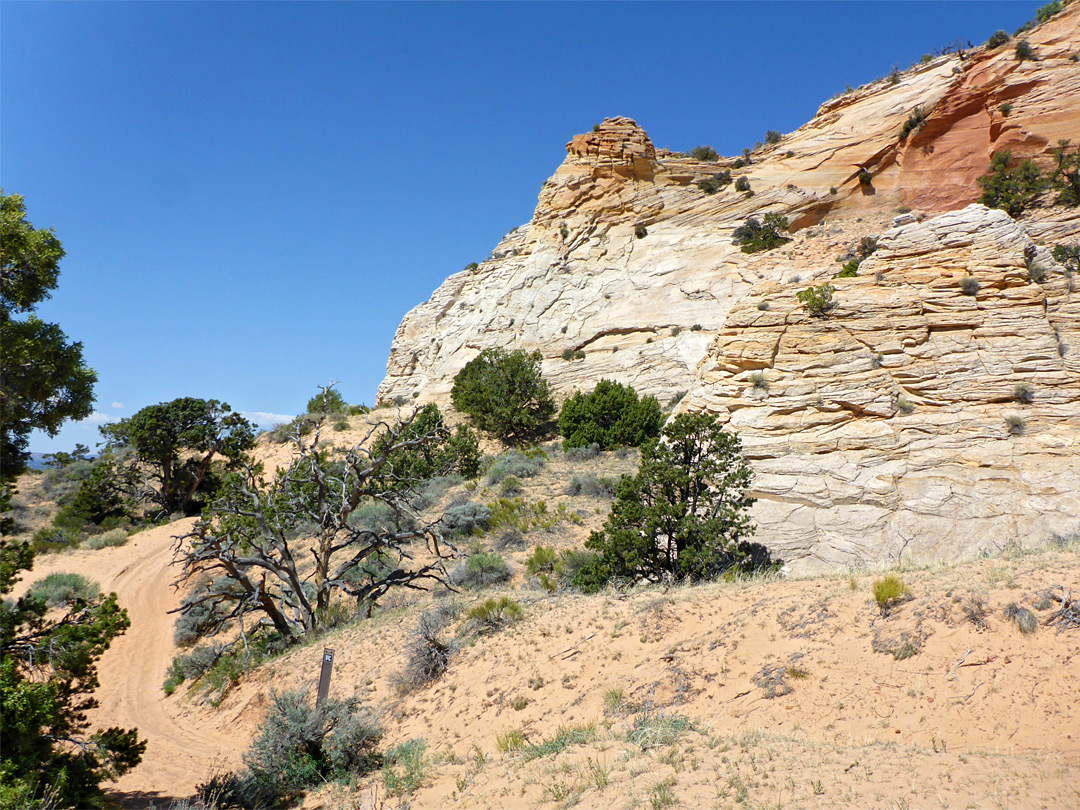 Sandy track