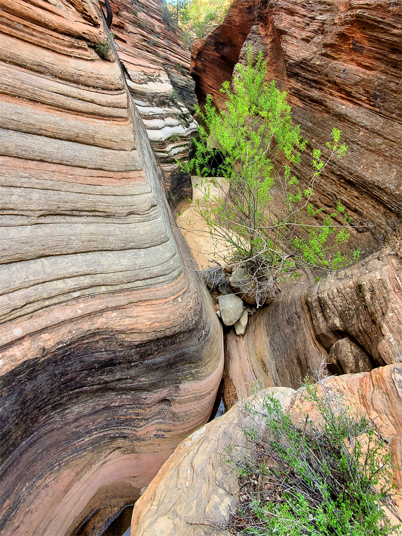 Thin-layered sandstone