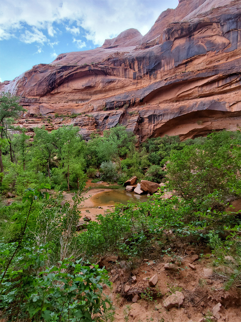 Upper end of the canyon