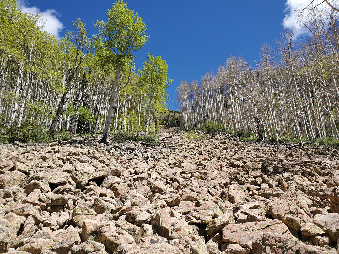 Boulders and aspen