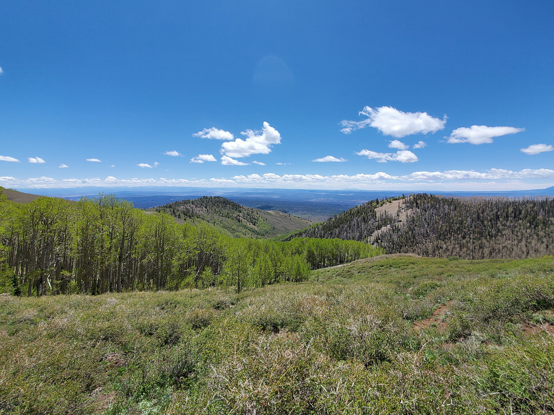 Upper end of Pole Canyon