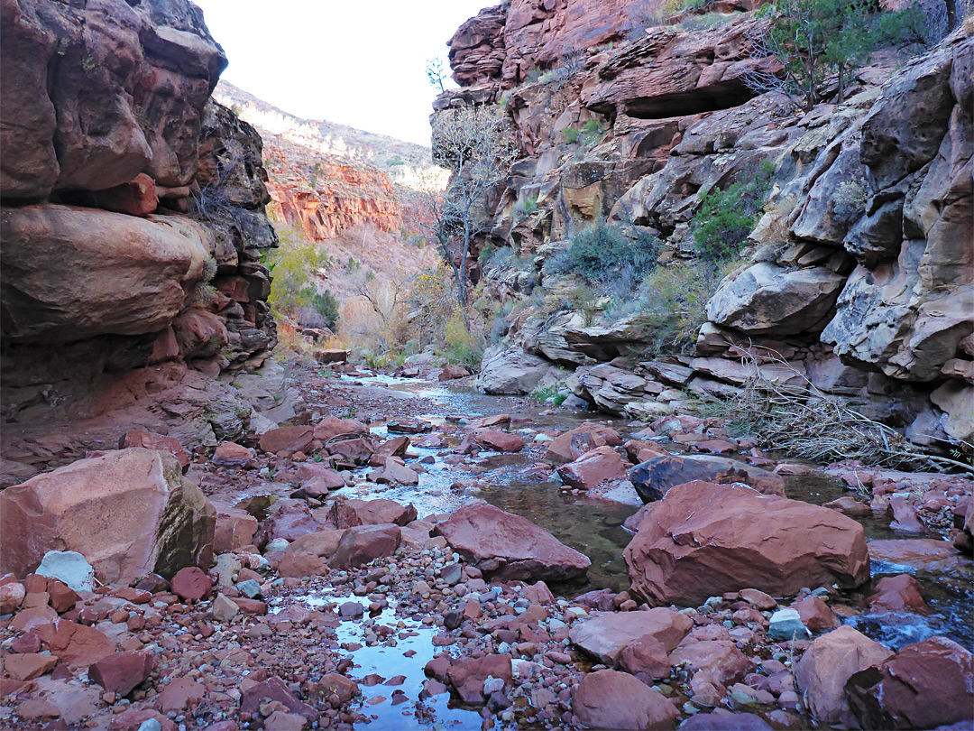 Reddish boulders