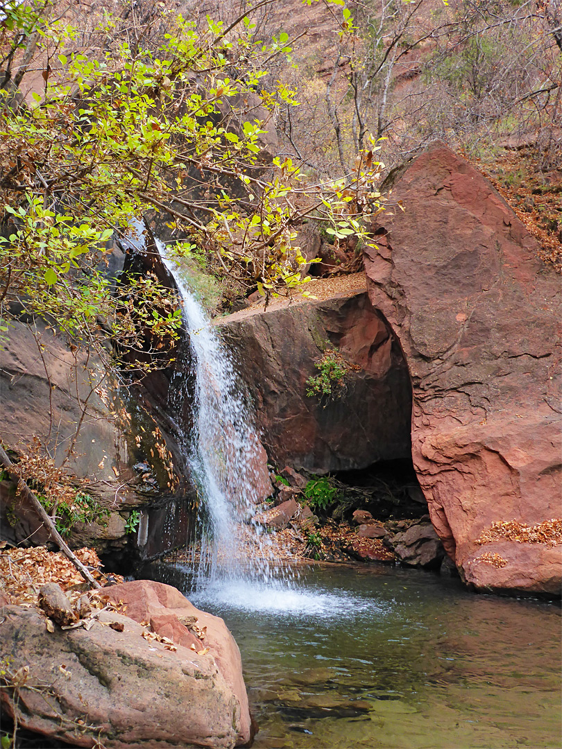 Trees and waterfall